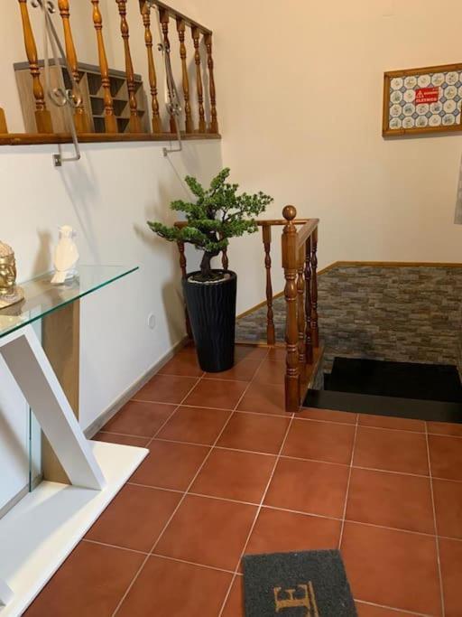 Brisa Da Ribeira Villa Furnas  Luaran gambar